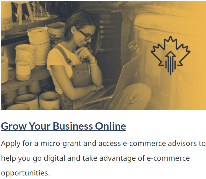grow-your-business-online